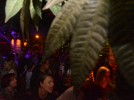 DSC 0051
