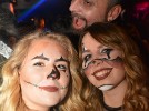DSC 0314